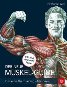 Buch-Cover: Der neue Muskel Guide - Gezieltes Krafttraining, Anatomie