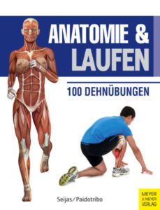Anatomie & Laufen